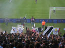 IMGP7324.jpg
