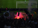 IMGP7338.jpg

