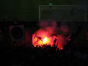 IMGP7339.jpg
