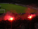 IMGP7379.jpg
