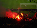 IMGP7380.jpg
