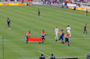 IMGP1037.jpg
